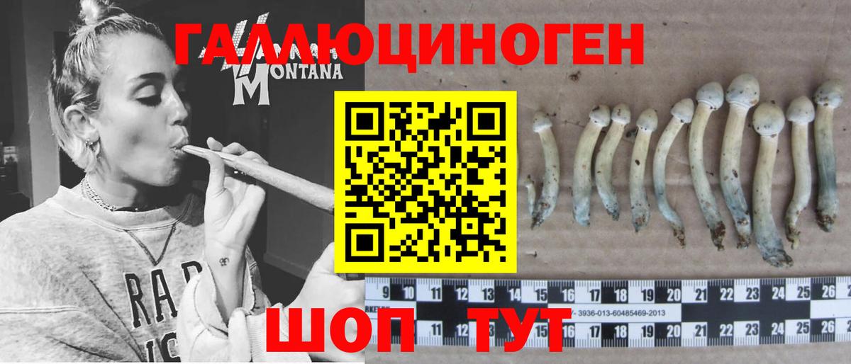 Псилоцибиновые грибы Psilocybine cubensis  как найти наркотики  Абинск  Вход с VPN 